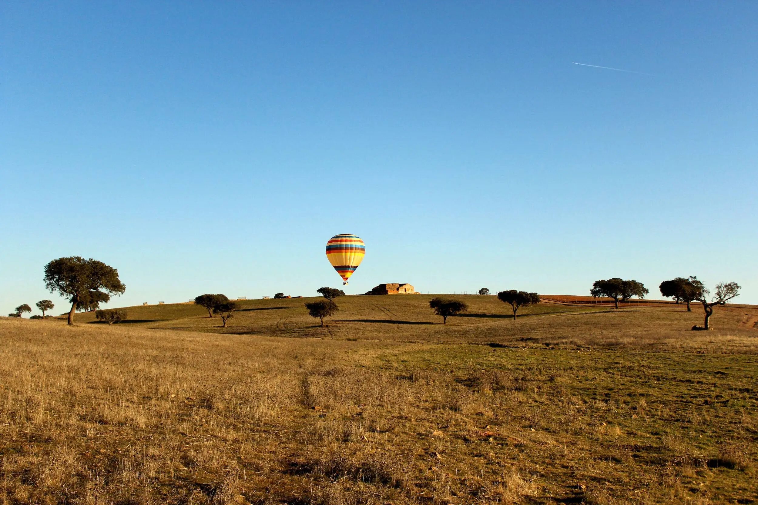VG-Alentejo-Vineyards-Atividades-Balao-2