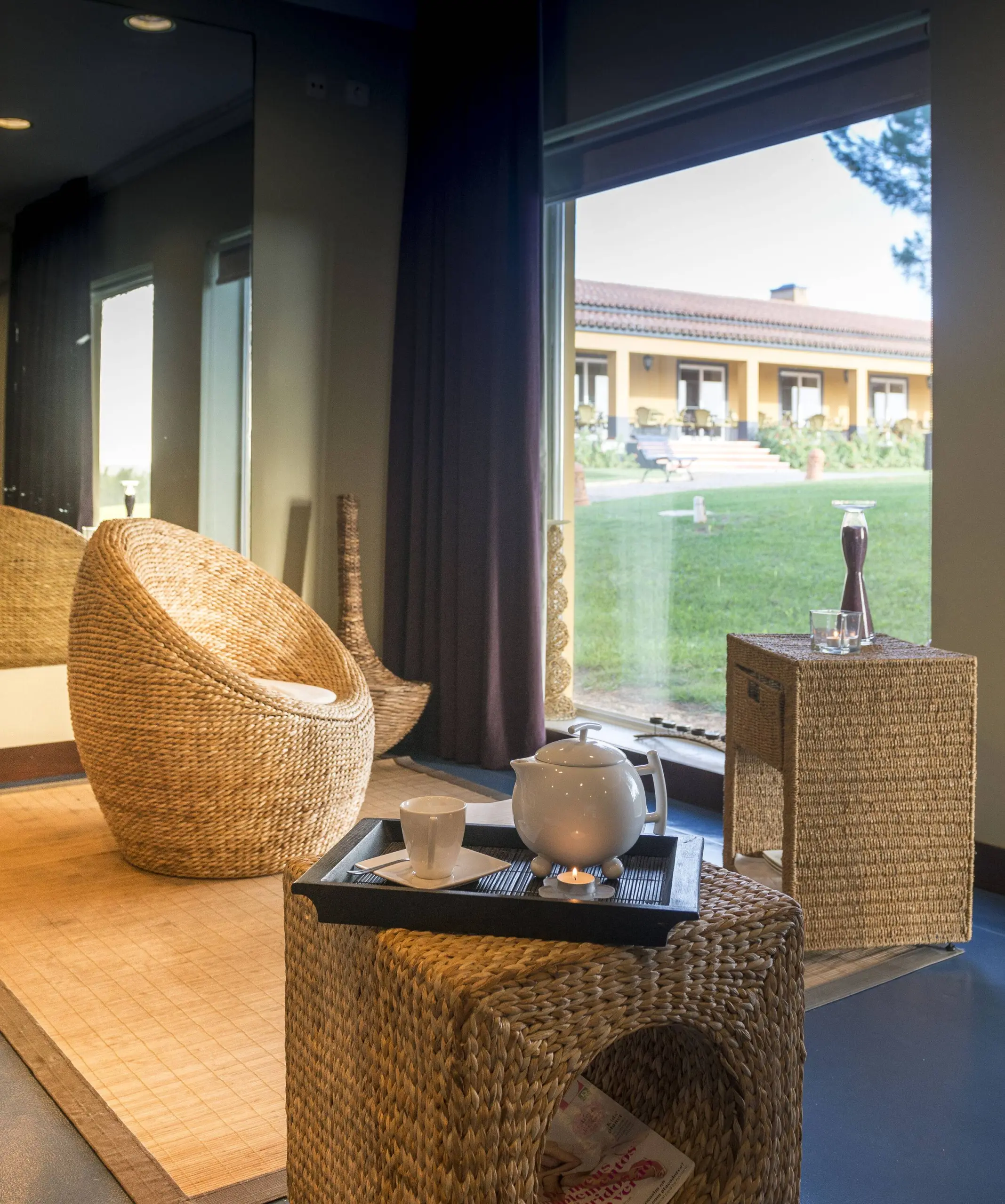 VG-Alentejo-Vineyards-Satsanga-Spa-6