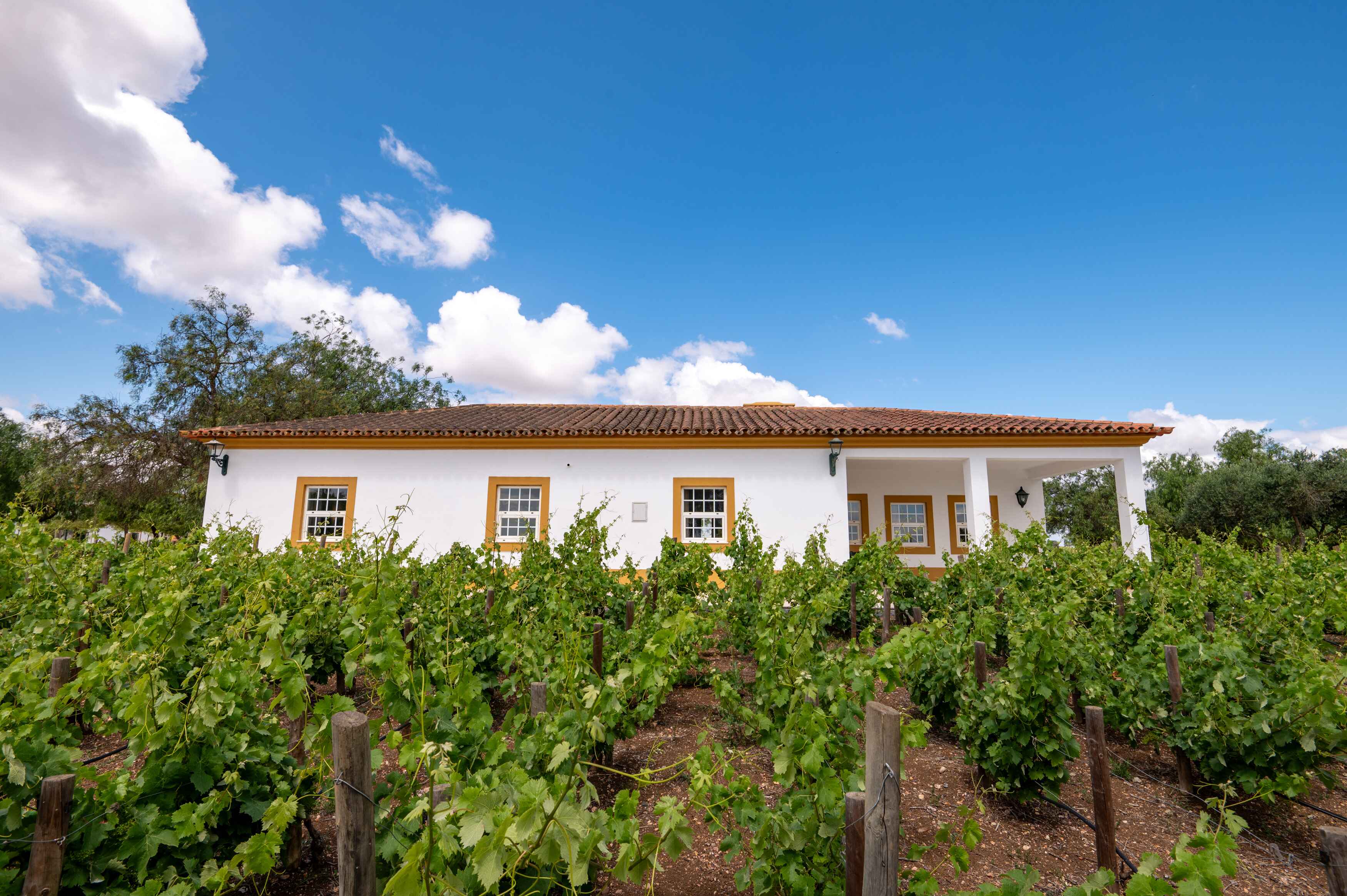 Vila Galé Alentejo Vineyards