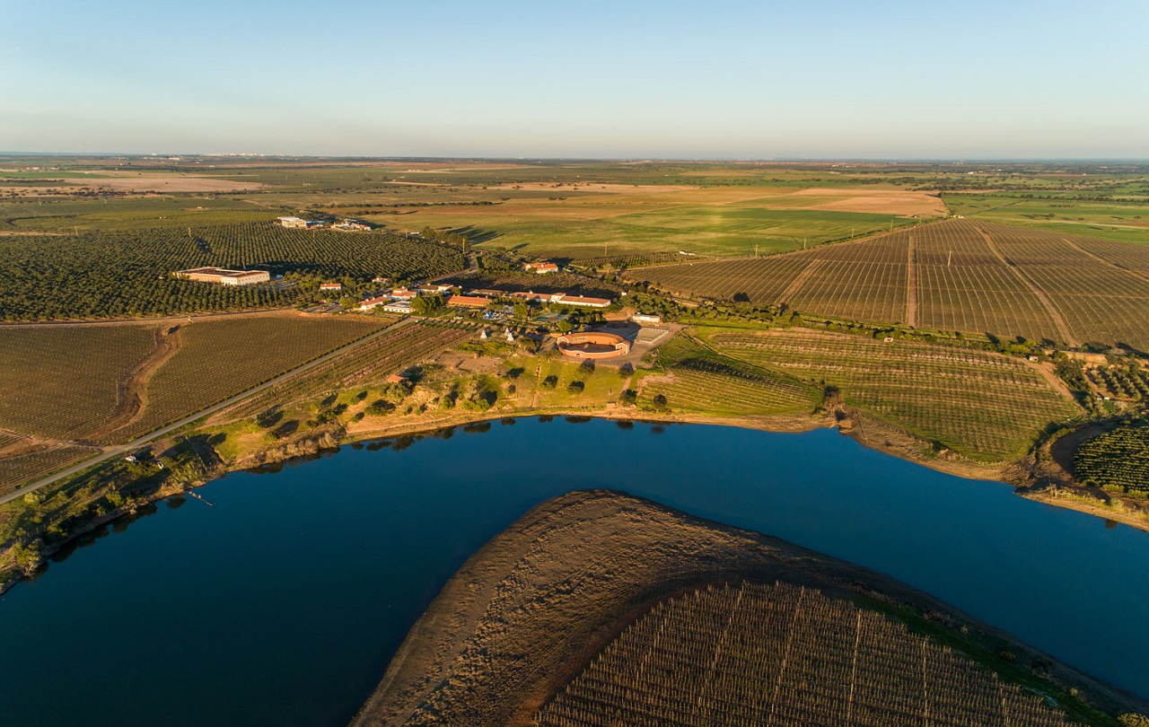 Vila Galé Alentejo Vineyards