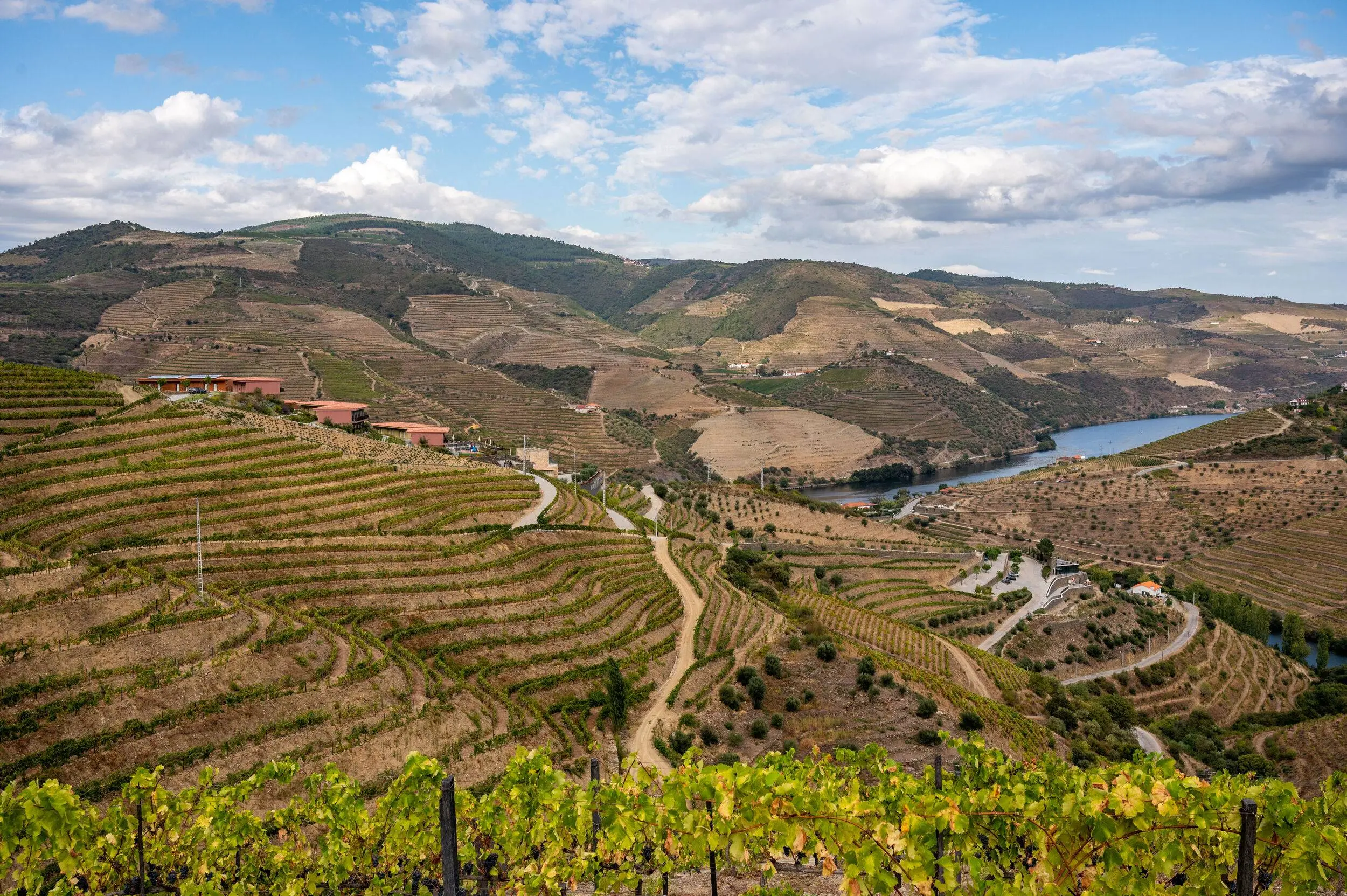 feelDouro-87
