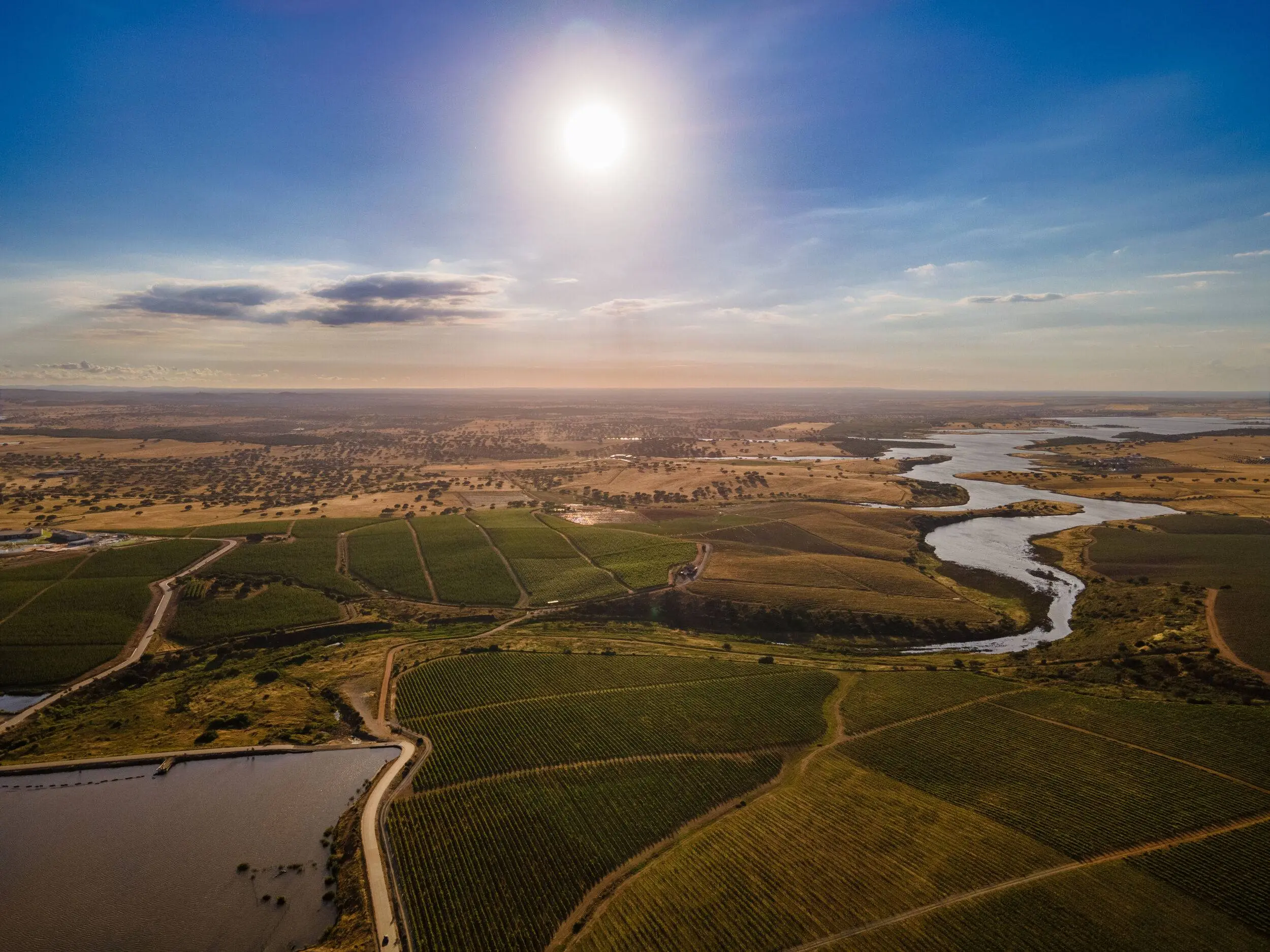 vila-gale-alentejo-vineyards-vista-aerea_10