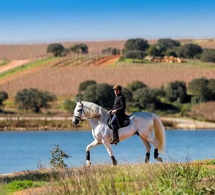 Experiências Equestres