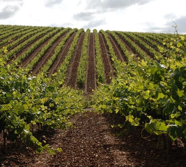 Experiências Sazonais