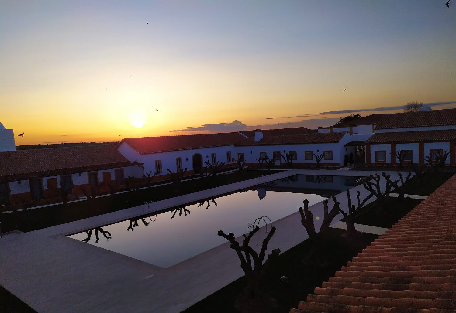 Vila Galé Collection Alter Real