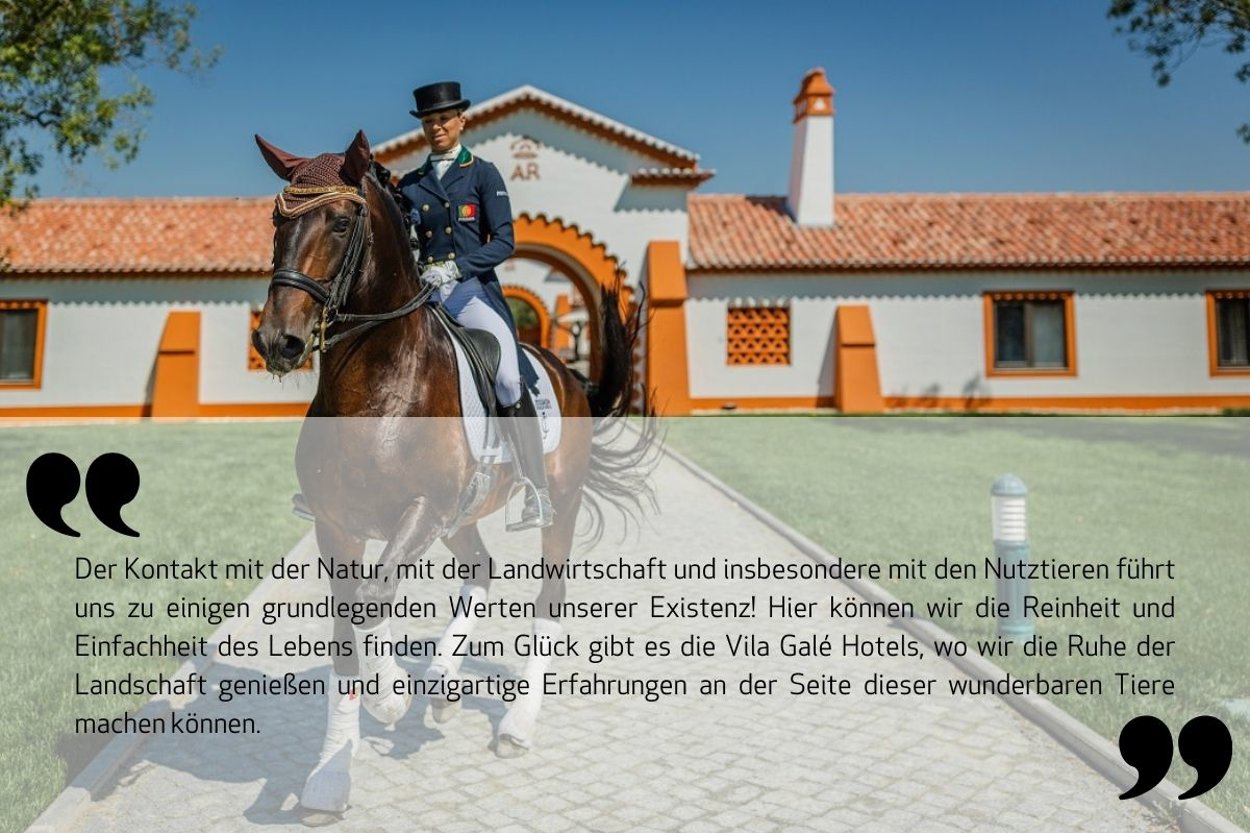 Experiências Equestres Frase DE