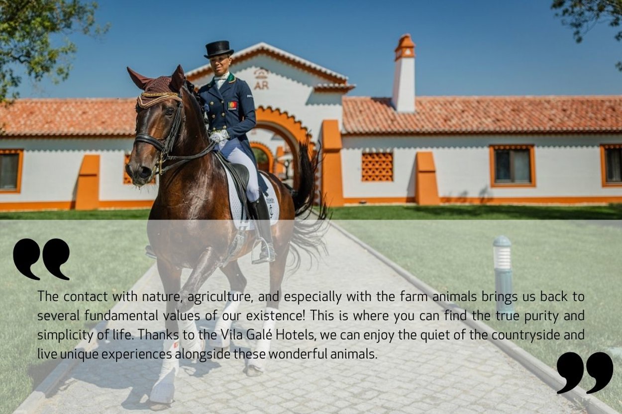Experiências Equestres Frase EN