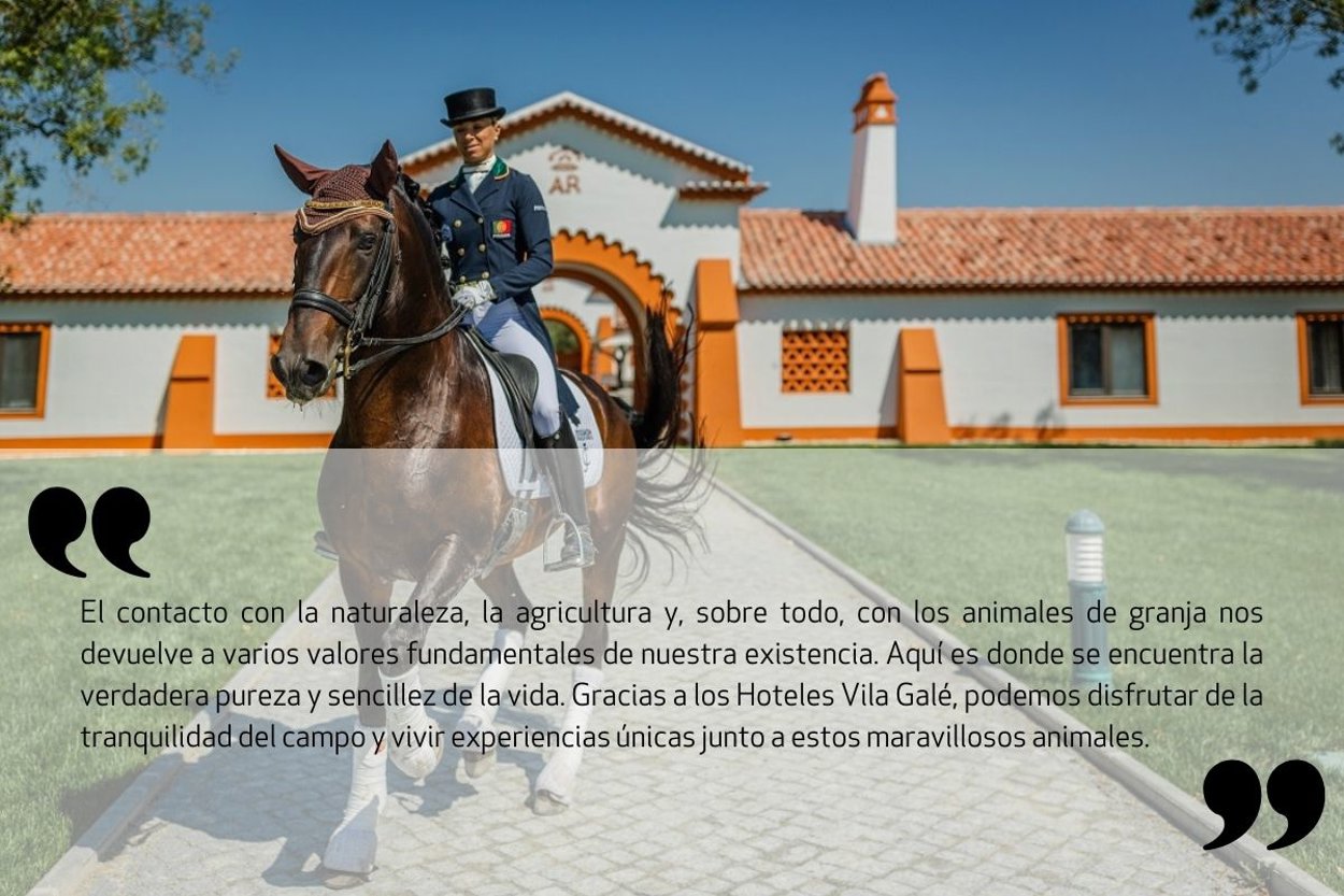 Experiências Equestres Frase ES
