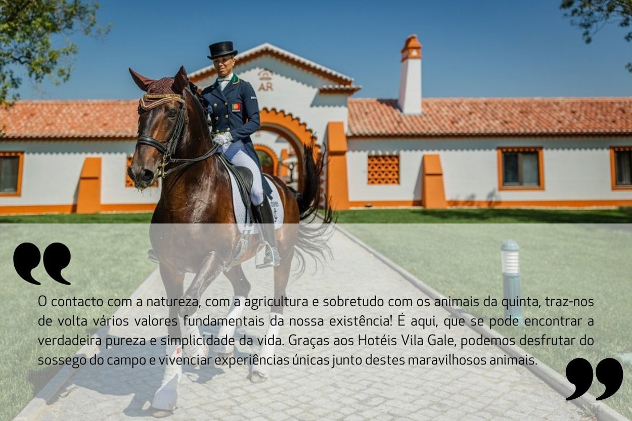 Experiências Equestres Frase PT