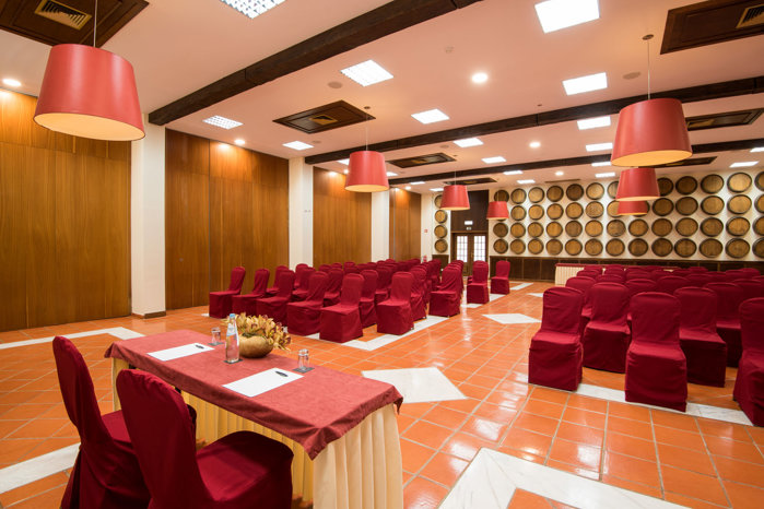 Vila Galé Alentejo Vineyards & Olive - Konferenzraum 'Alves Redol'