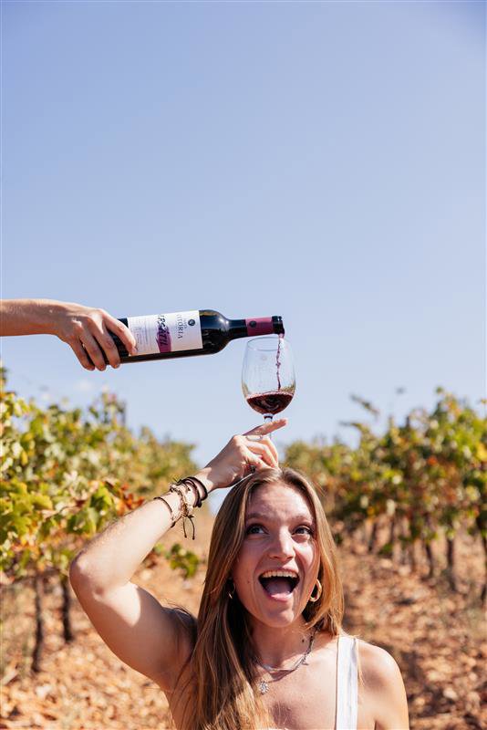 Vinhos Val Moreira e Santa Vitória