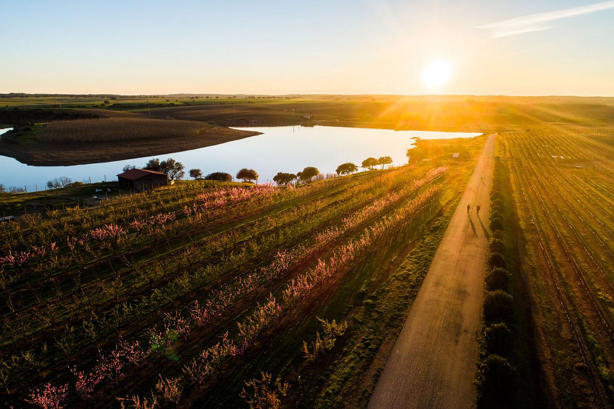 VG Alentejo Vineyards Aerea 10 Baixa